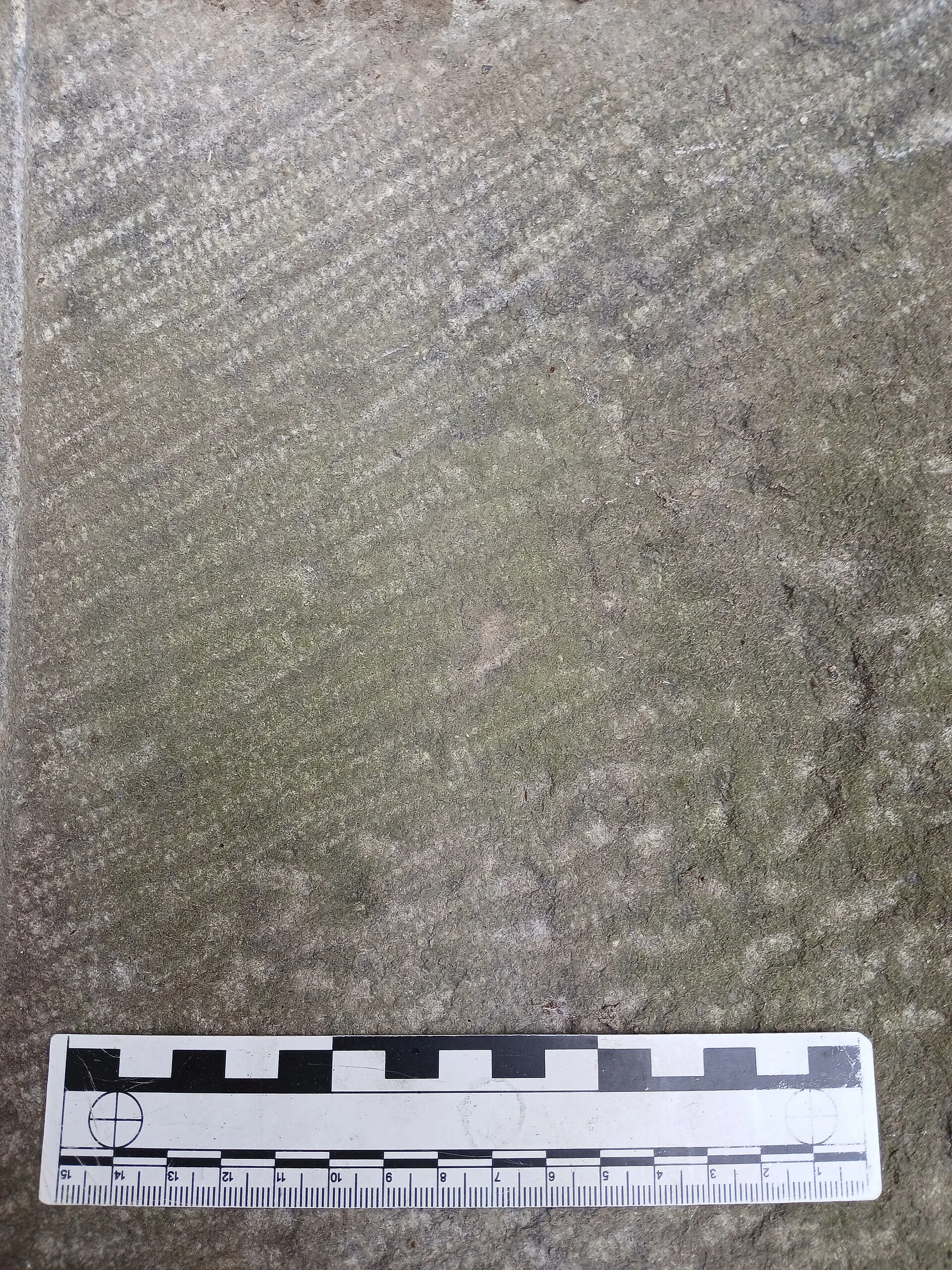 La gradine : traces laissées par la gradine sur la pierre