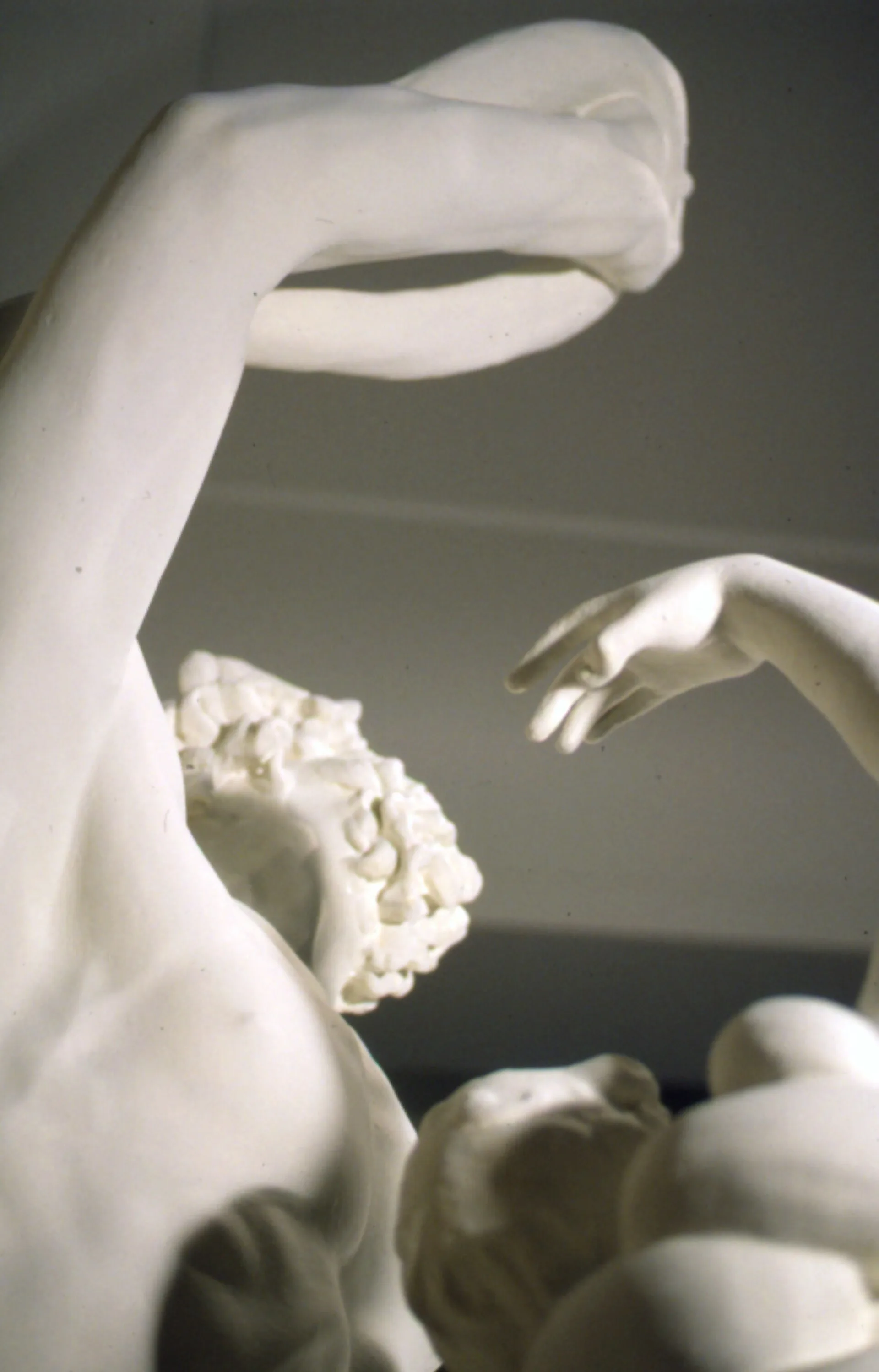 Plâtre, étape 4 : une sculpture en plâtre achevée, Auckland Museum