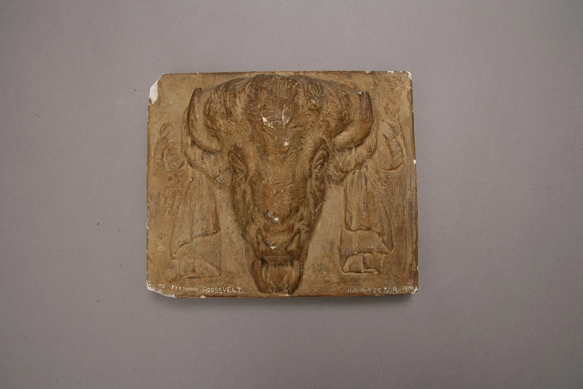 Plâtre, étape 3 : modèle en plâtre d'une tête de bison sculpté par Alexander Phimister Proctor